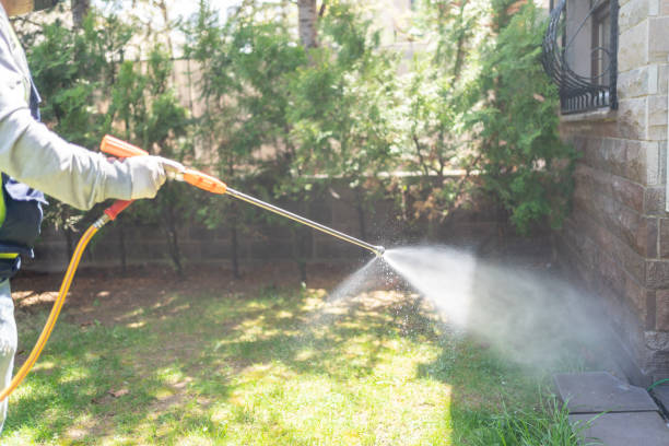 Seasonal Pest Control in Setauket, NY